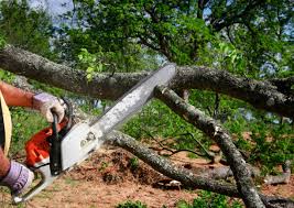Best Lawn Grading and Leveling  in Ashton, ID
